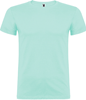 Roly RY6554 Beagle T-Shirt - Mint 98 - XXL afbeelding