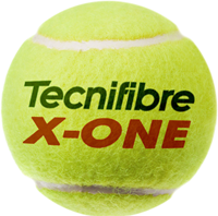 Tecnifibre X-ONE Tennisballen-2