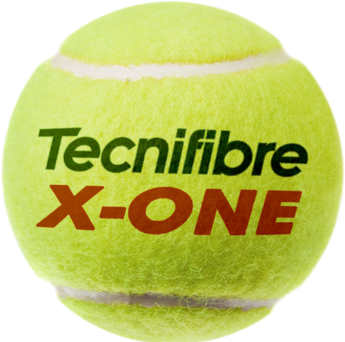 Tecnifibre X-ONE Tennisballen-2