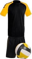 Volleybal